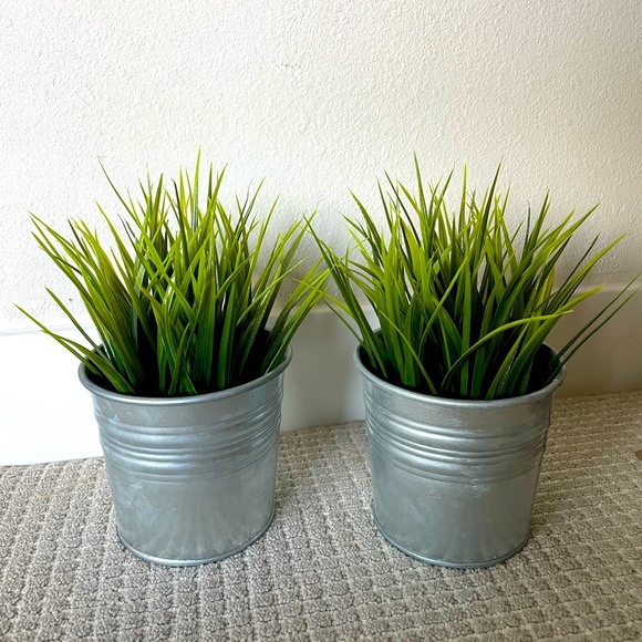 Ikea grass pots and metal socker plant pot 🪴